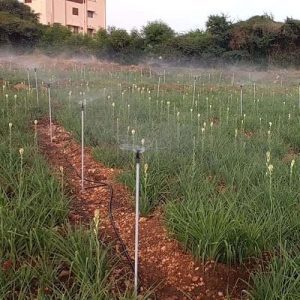 About Ionex Agro Technology