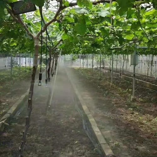 Hanging Jet Sprinkler Set