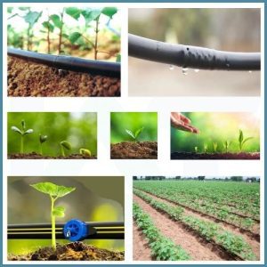 Drip Irrigation System