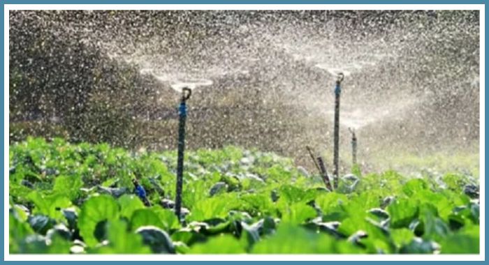 crop field, commercial, residential lawn, yard garden, sprinkler head nozzle for sprinkler irrigation system smart watering Bangladesh, ionex agro technology