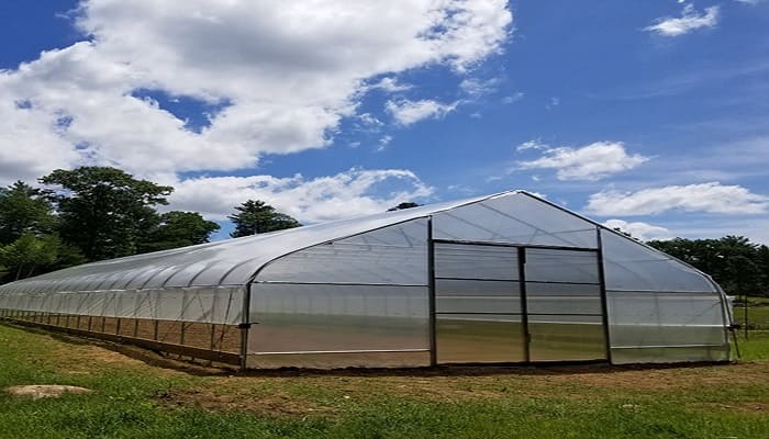 greenhouse, poly house, net house for protective agriculture farming cultivation, agriculture technology home