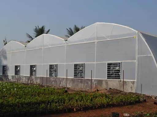 সুরক্ষিত পরিবেশে চাষাবাদ