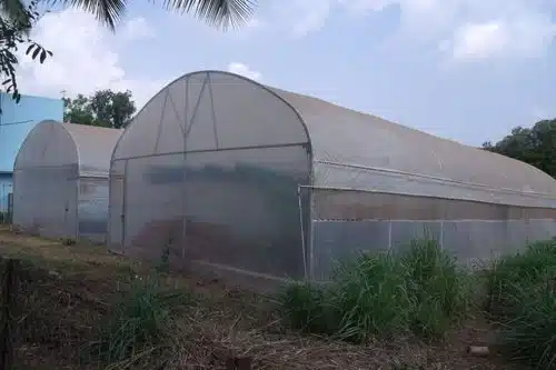 সুরক্ষিত পরিবেশে চাষাবাদ