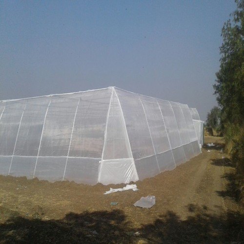 সুরক্ষিত পরিবেশে চাষাবাদ