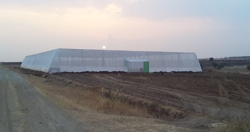 সুরক্ষিত পরিবেশে চাষাবাদ