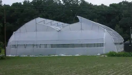 সুরক্ষিত পরিবেশে চাষাবাদ