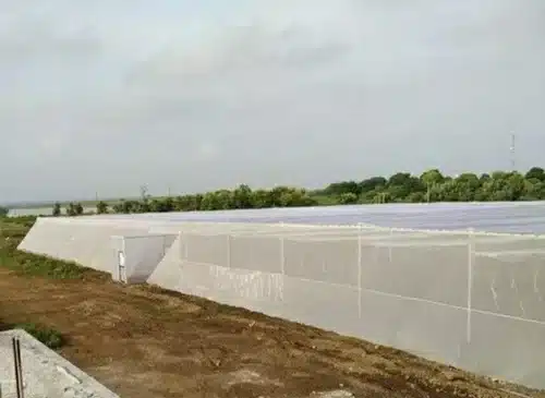 সুরক্ষিত পরিবেশে চাষাবাদ