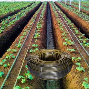 16mm LDPE Pipe for Drip Irrigation Systems