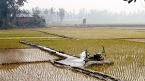বাংলাদেশের কৃষি খাতে সেচ ব্যবস্থার বর্তমান চিত্র: প্রচলিত ও আধুনিক পদ্ধতির বিশ্লেষণ