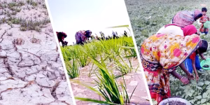 জলবায়ু পরিবর্তনের চ্যালেঞ্জ